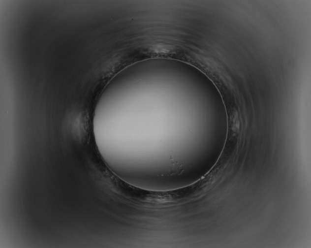 X0000095930559200801111257
