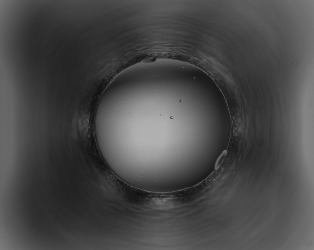 X0000095930560200801111257