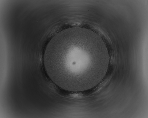 X0000095930561200801111257