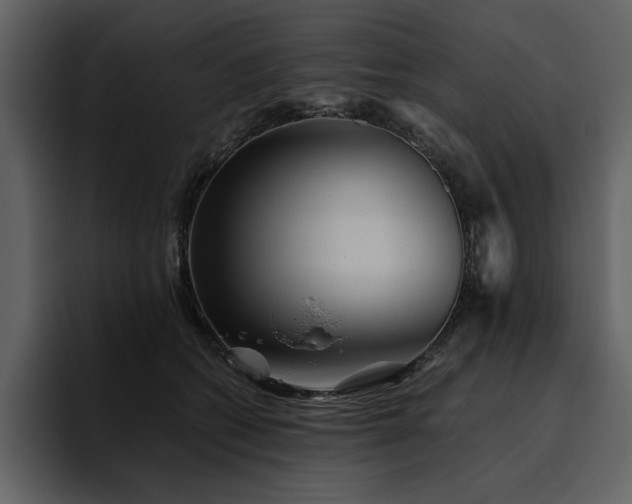 X0000095930562200801111257