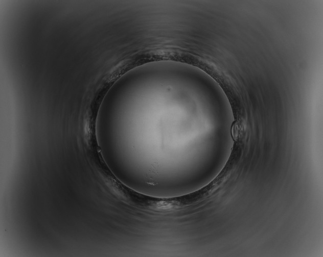 X0000095930566200801111257