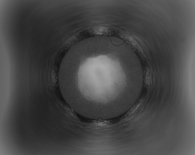X0000095930569200801111257