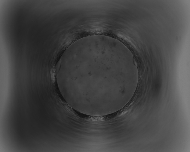 X0000095930576200801111257