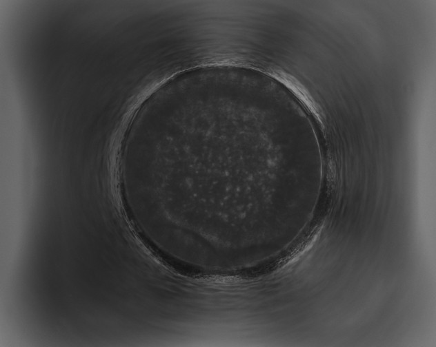 X0000095930577200801111257