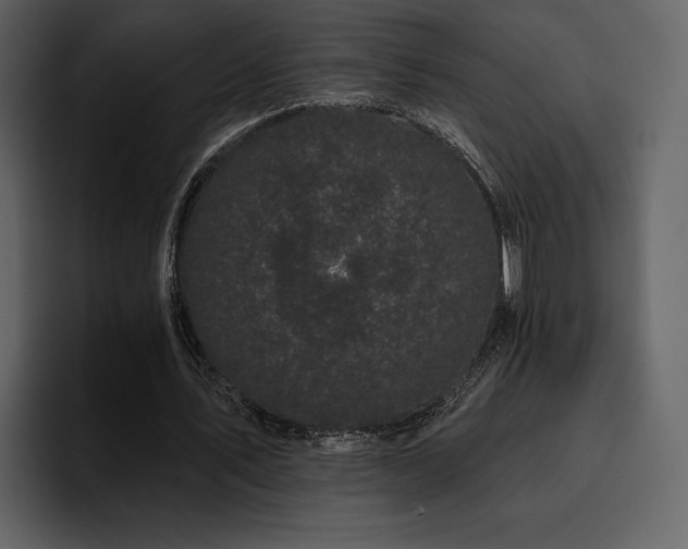 X0000095930579200801111257