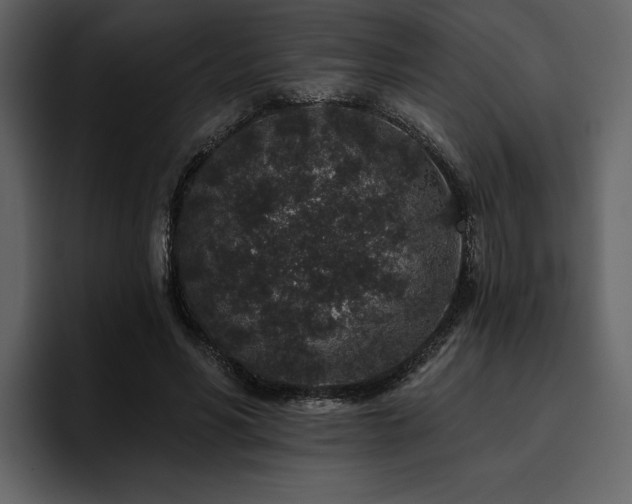 X0000095930590200801111257