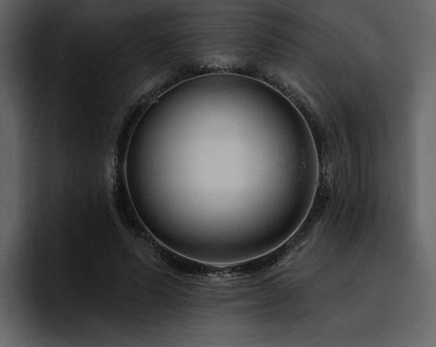 X0000095930591200801111257
