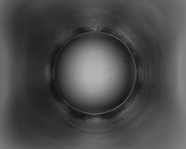 X0000095930594200801111256