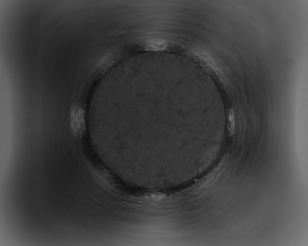X0000095930598200801111256