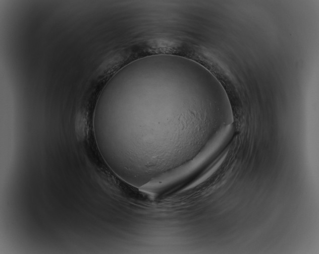 X0000095930599200801111256
