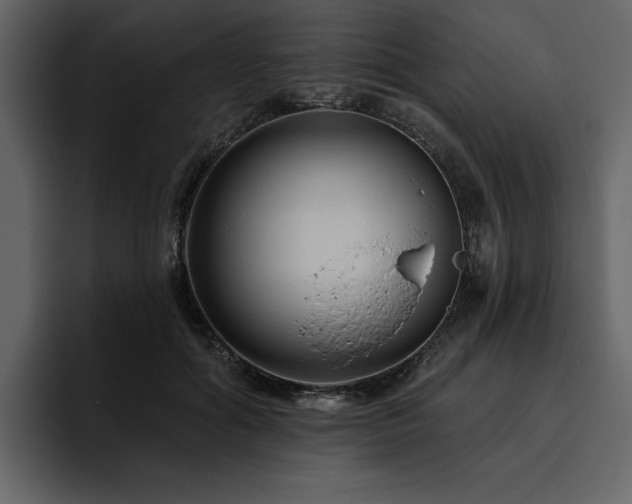 X0000095930602200801111256