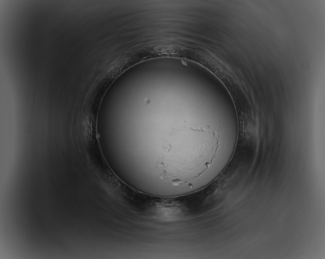X0000095930603200801111256