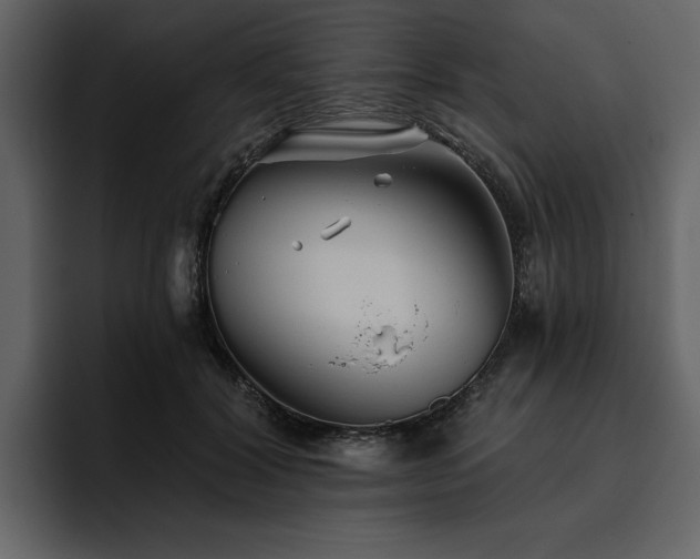 X0000095930604200801111256