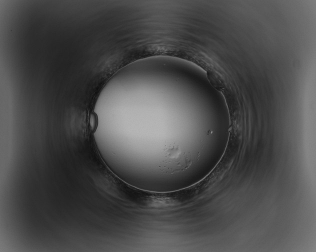X0000095930605200801111256