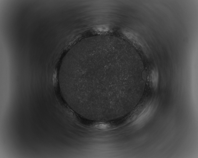 X0000095930610200801111256