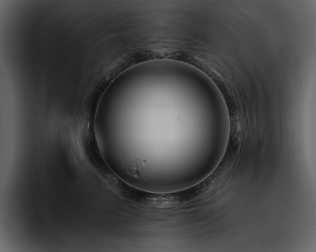 X0000095930615200801111256