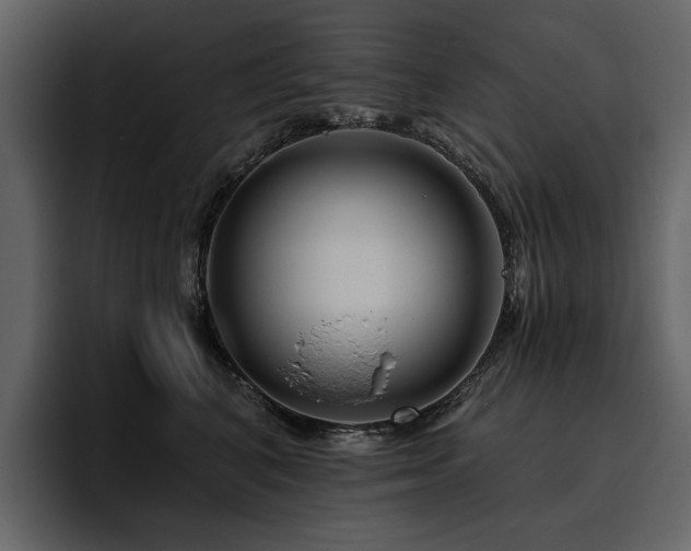 X0000095930616200801111256