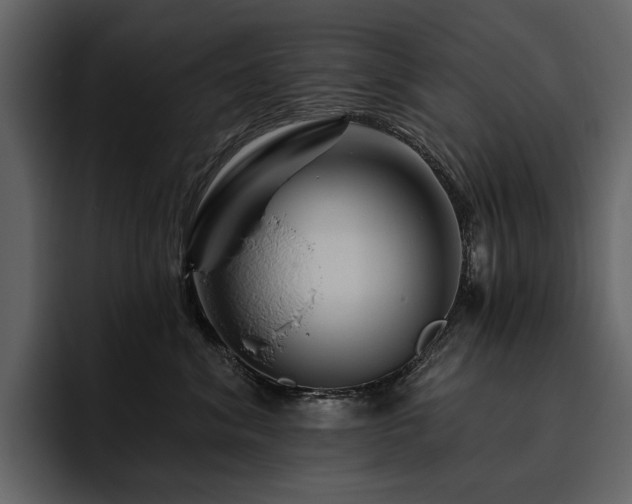 X0000095930620200801111256