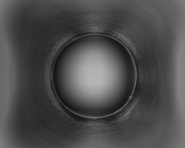 X0000095930625200801111255