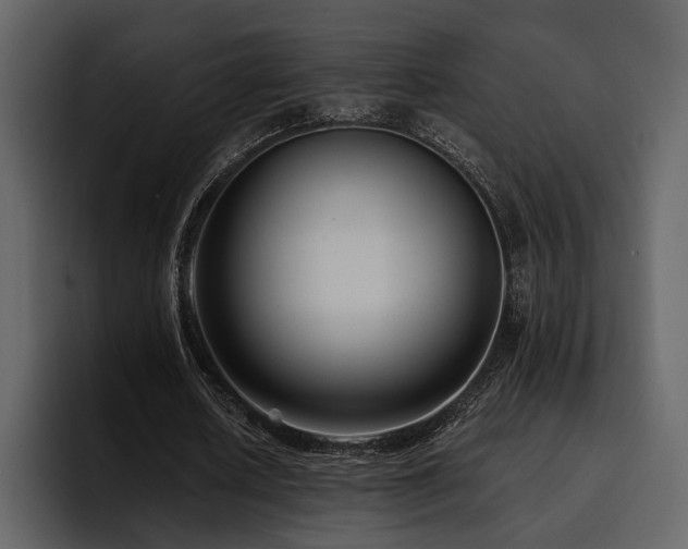 X0000095930626200801111255