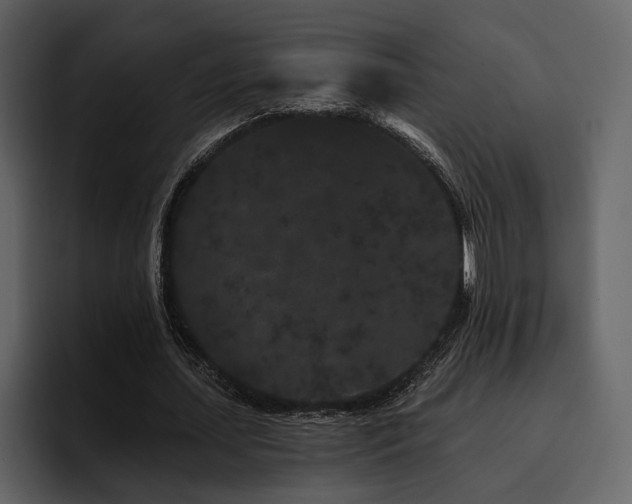 X0000095930627200801111256