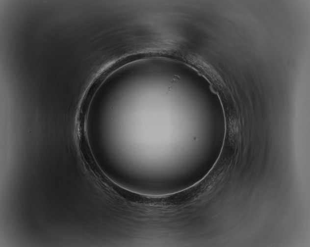 X0000095930628200801111256