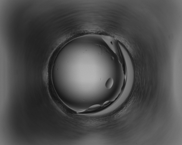 X0000095930630200801111256