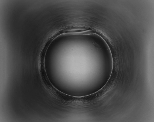 X0000095930631200801111256