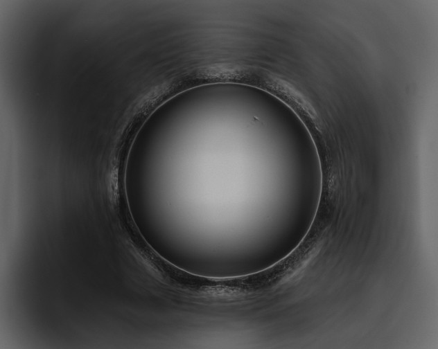 X0000095930633200801111256