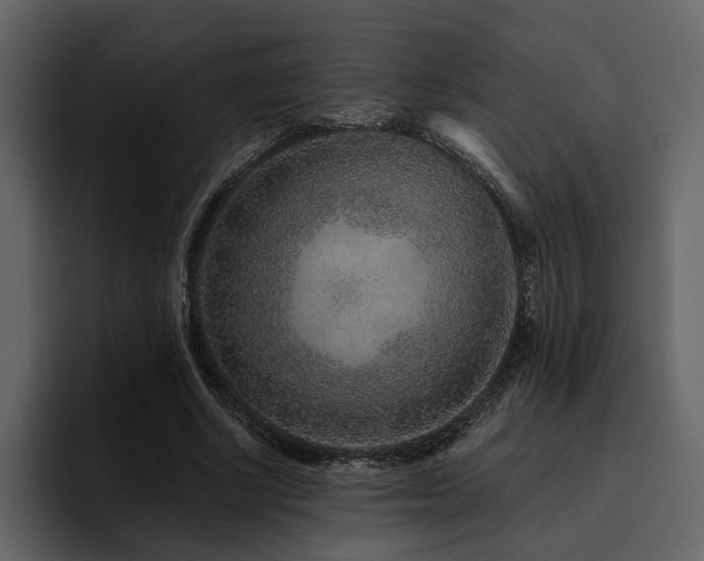X0000095930634200801111256