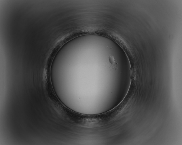 X0000095930636200801111256