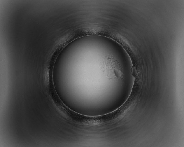 X0000095930638200801111256