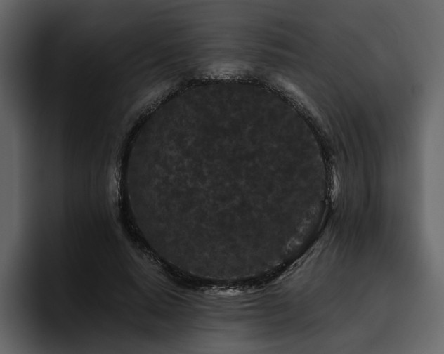 X0000095930640200801111256