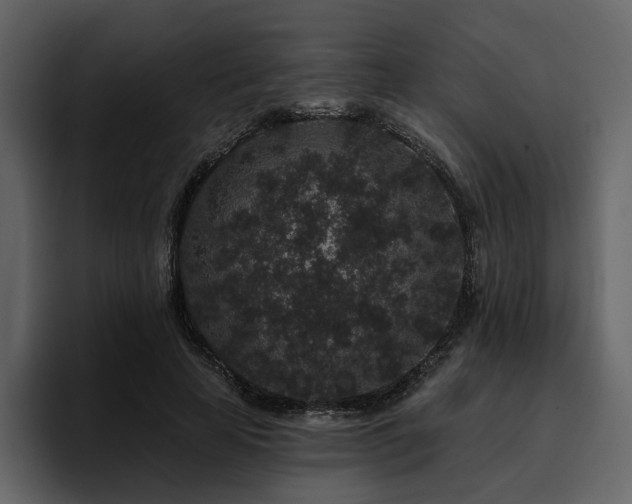 X0000095930641200801111256
