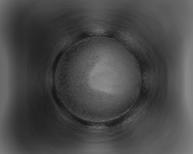 X0000095930642200801111256