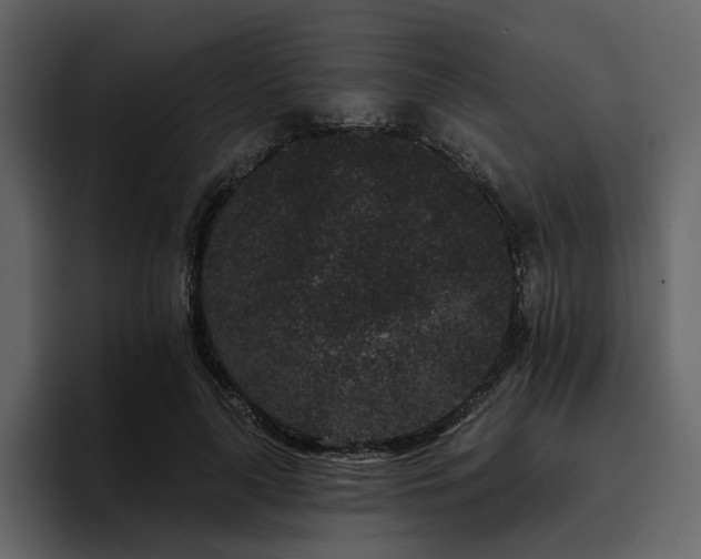 X0000095930643200801111256