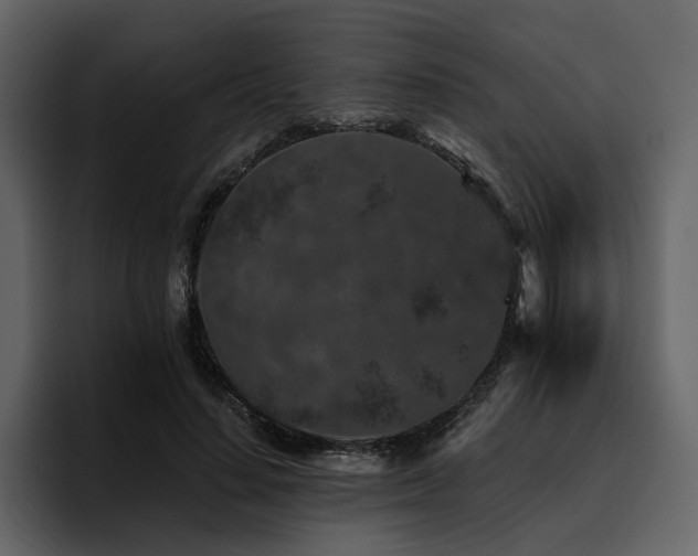 X0000095930644200801111256