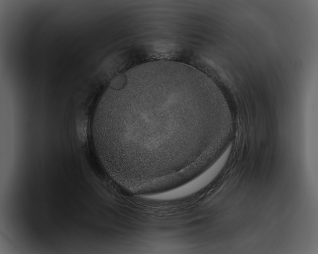 X0000095930647200801111256