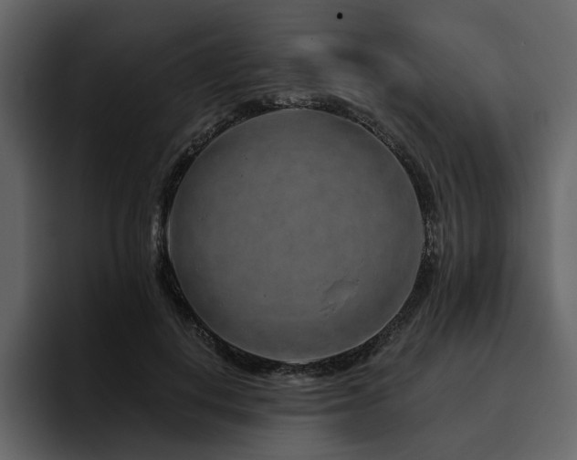 X0000095930648200801111256