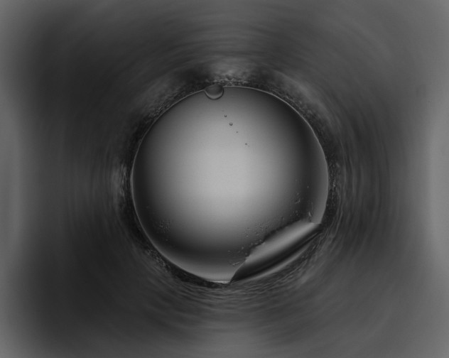 X0000095930649200801111256