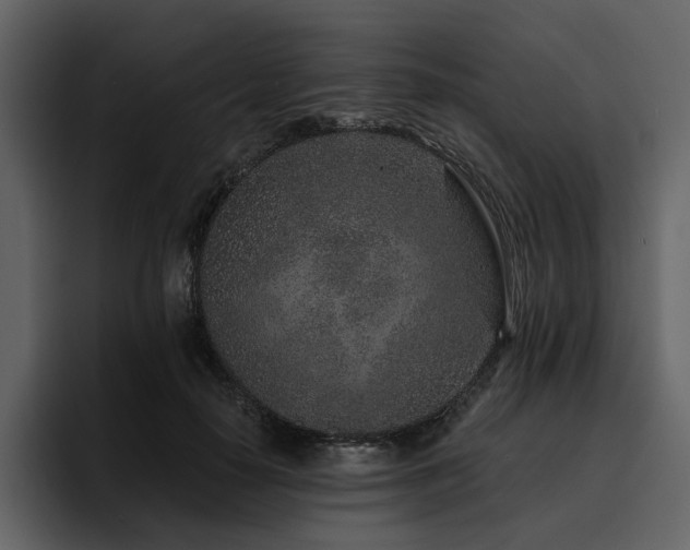 X0000095930650200801111256
