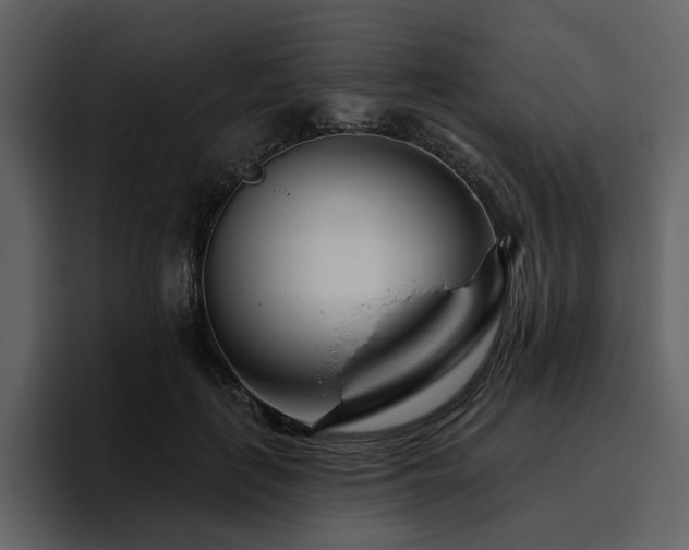 X0000095930651200801111256