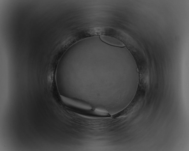 X0000095930652200801111256