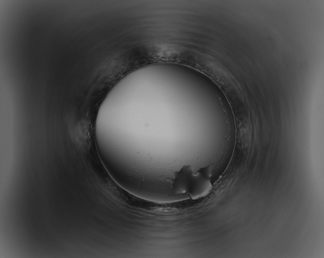 X0000095930654200801111256