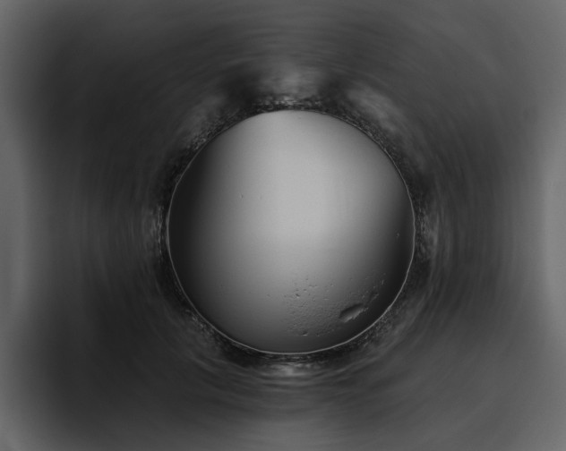X0000095930657200801111256