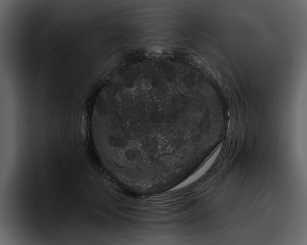 X0000095930659200801111256