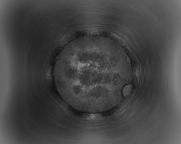 X0000095930663200801111256