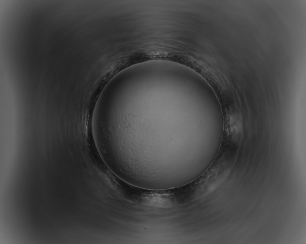 X0000095930664200801111256