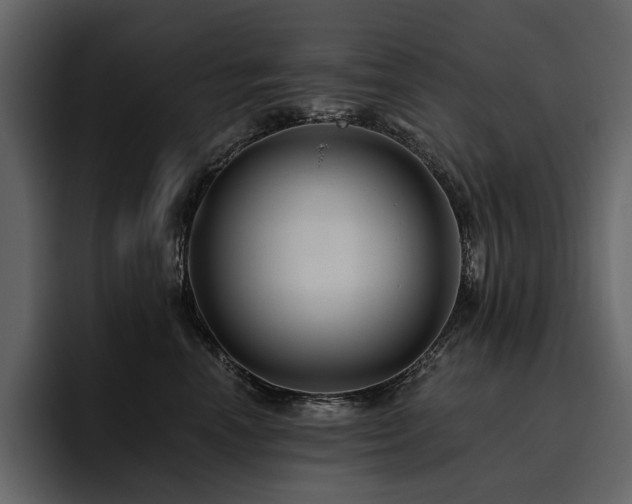 X0000095930666200801111256