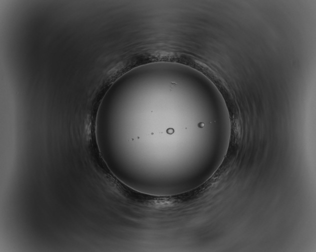 X0000095930668200801111256